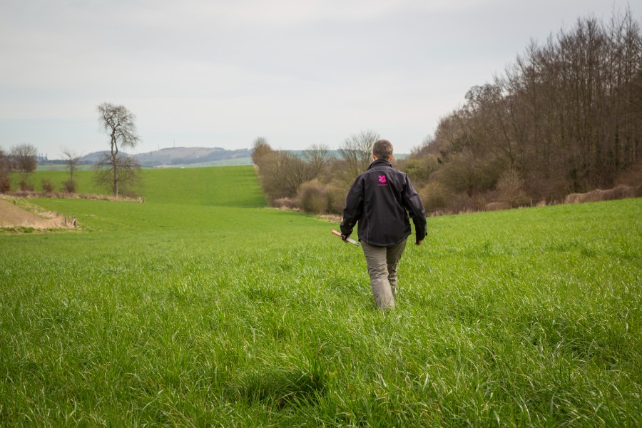 Person walking across green land
